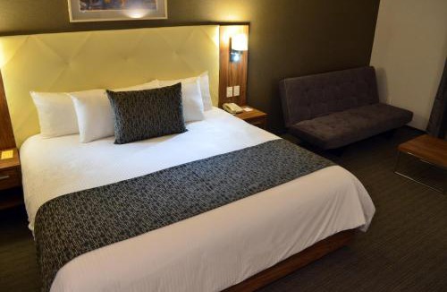 Irapuato Hotel | Casa Inn Business Irapuato